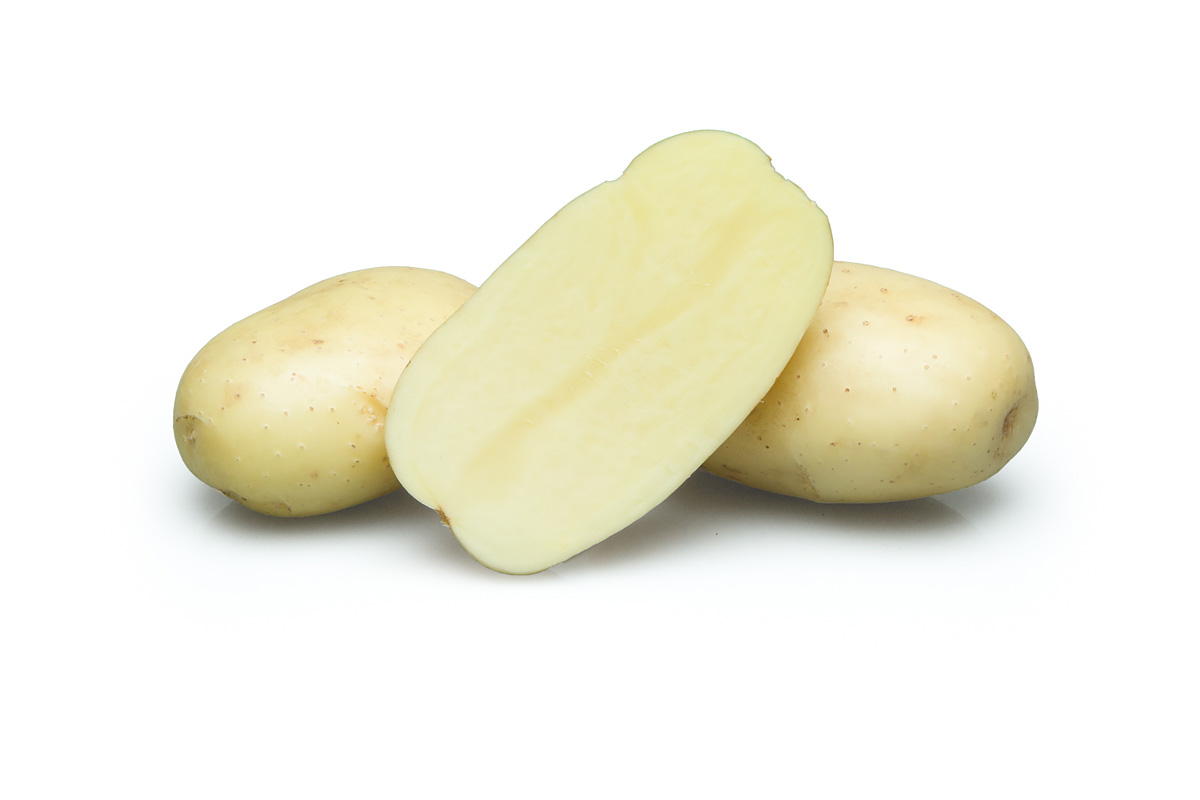 POTATO SEED BELLINI