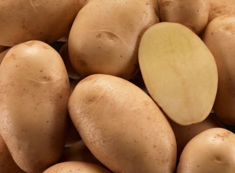 POTATO SEED MELANTO