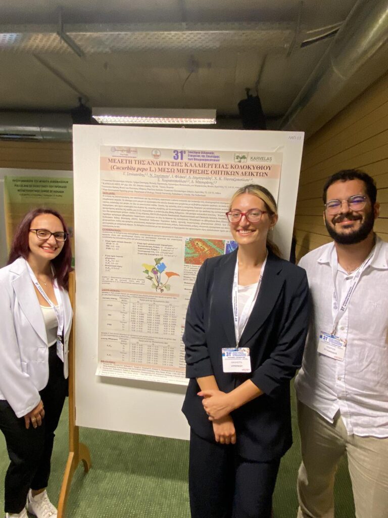 Η συμβολή του FYTOAMINO – Bo στην ενίσχυση της απόδοσης των καρπών κολοκυθιάς